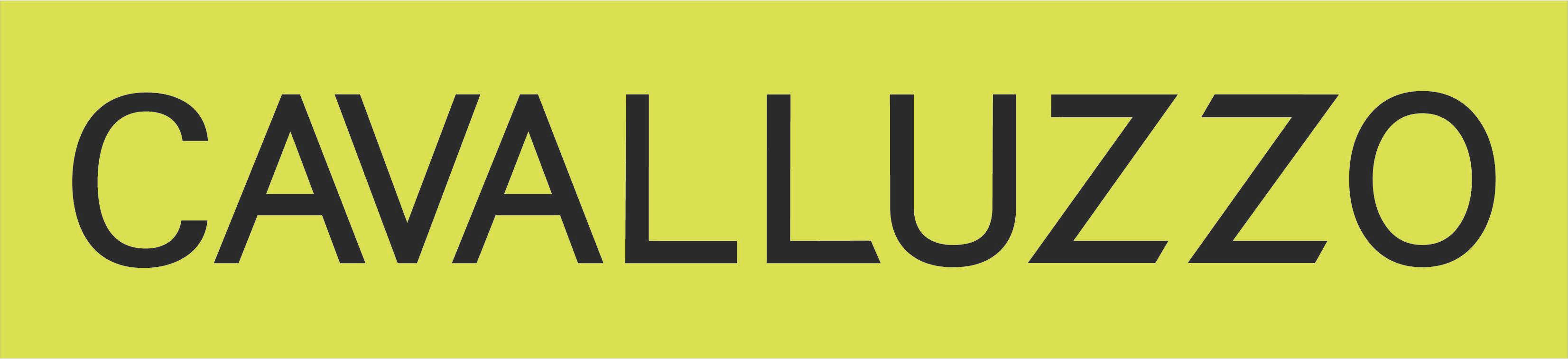 Logo for Cavalluzzo LLP 
