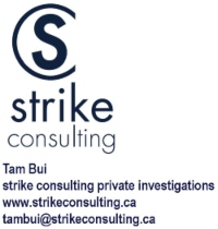Strike Consulting Inc